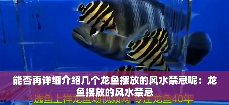 能否再詳細介紹幾個龍魚擺放的風水禁忌呢：龍魚擺放的風水禁忌