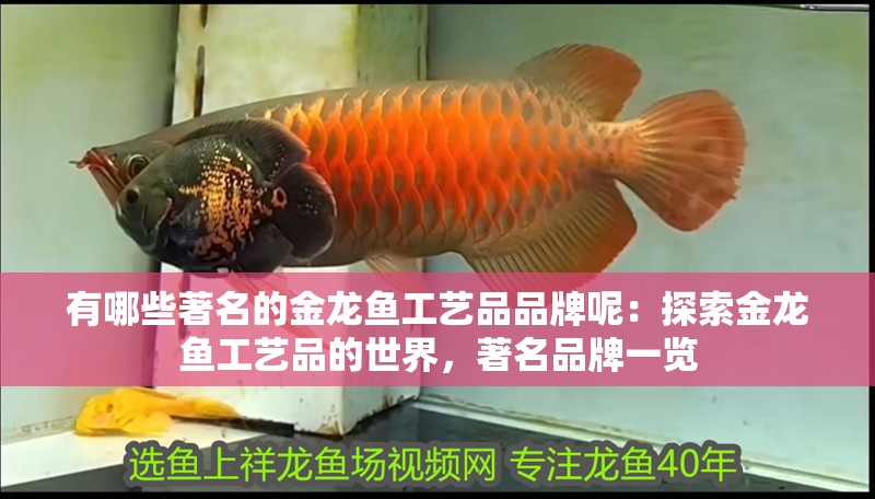 有哪些著名的金龍魚工藝品品牌呢：探索金龍魚工藝品的世界，著名品牌一覽