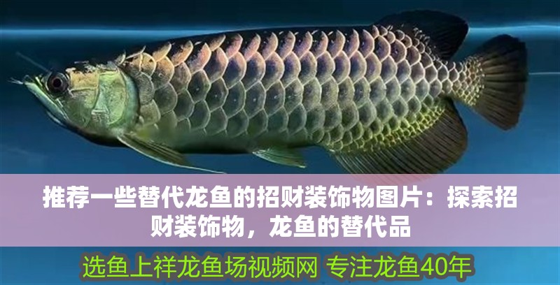 推薦一些替代龍魚的招財裝飾物圖片：探索招財裝飾物，龍魚的替代品