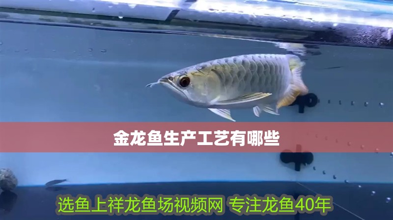 金龍魚生產(chǎn)工藝有哪些