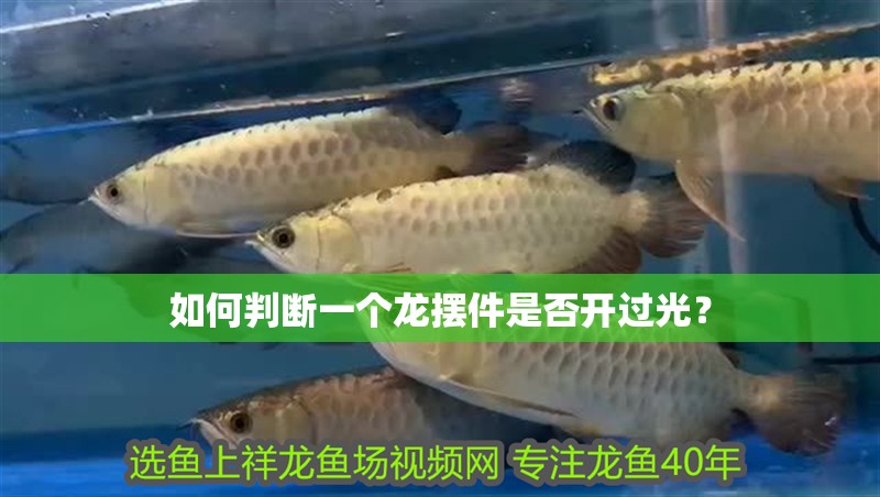 如何判斷一個龍擺件是否開過光？