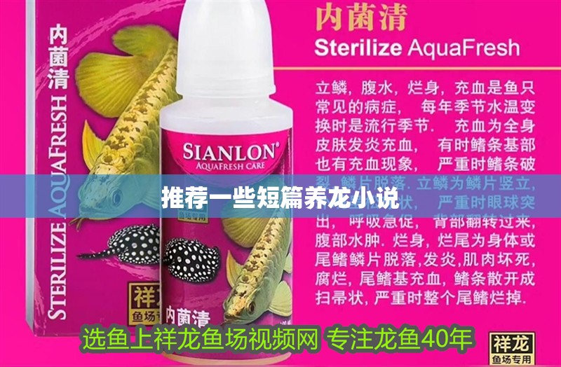 推薦一些短篇養(yǎng)龍小說