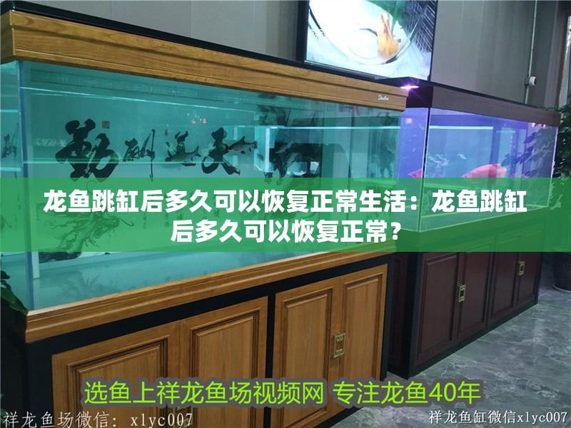 龍魚跳缸后多久可以恢復(fù)正常生活：龍魚跳缸后多久可以恢復(fù)正常？