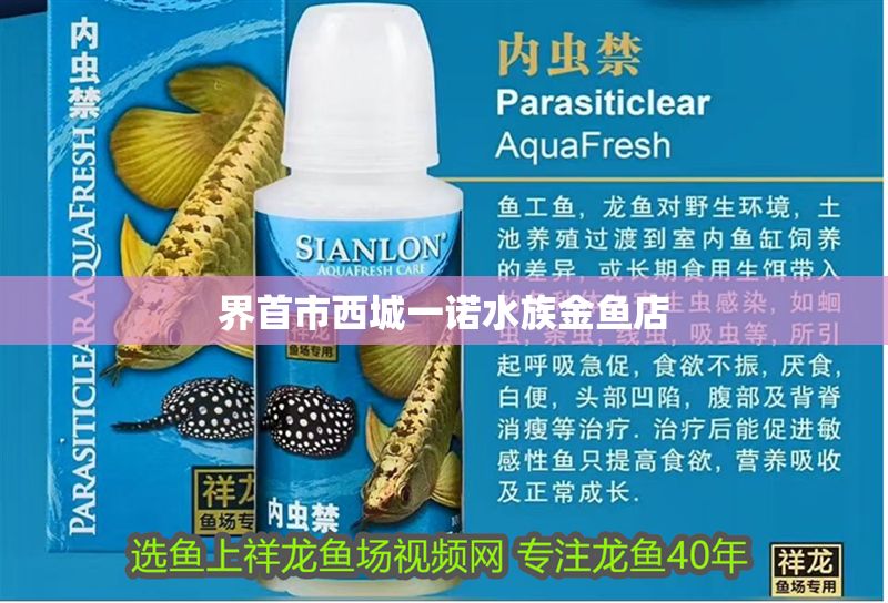 <strong><mark>界首</mark></strong>市西城一諾水族金魚店