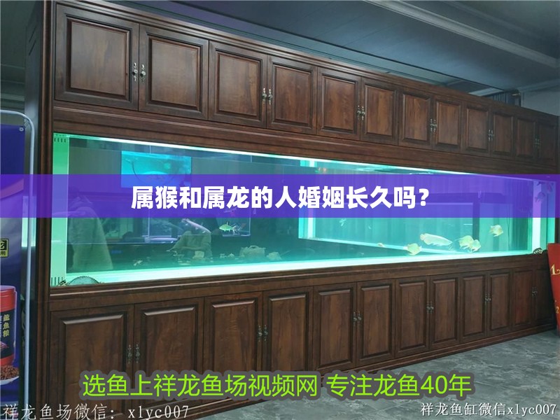 屬猴和屬龍的人婚姻長(zhǎng)久嗎？