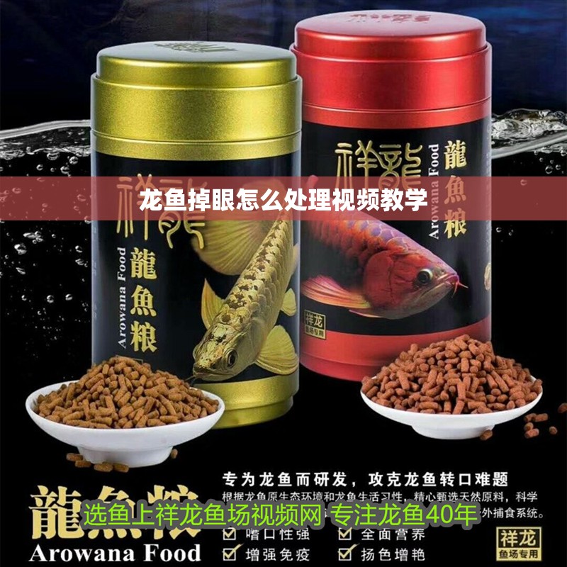 龍魚掉眼怎么處理視頻教學