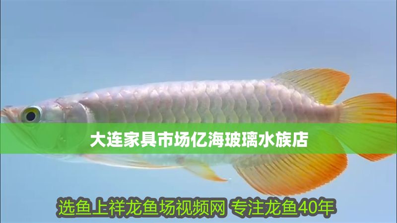 大連家具市場億海玻璃水族店