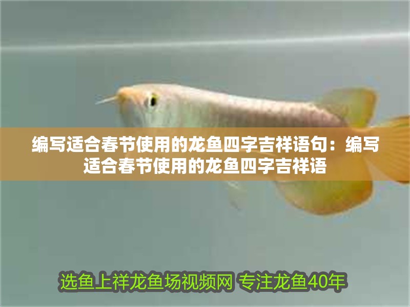 白龍魚服與龍戰魚駭有何關聯？