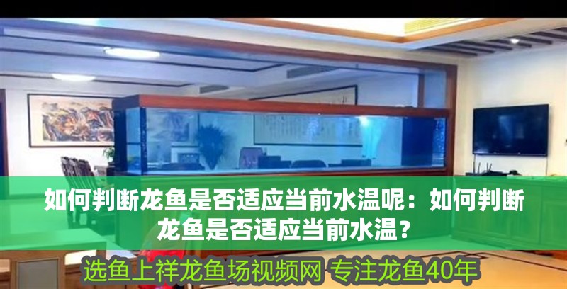 如何判斷龍魚是否適應當前水溫呢：如何判斷龍魚是否適應當前水溫？