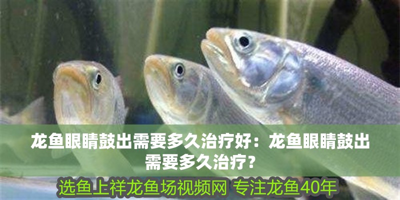 巨型恐龍魚
