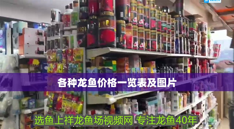 各種龍魚價格一覽表及圖片