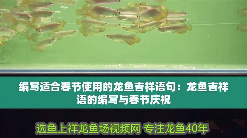 編寫適合春節(jié)使用的龍魚吉祥語句：龍魚吉祥語的編寫與春節(jié)慶祝