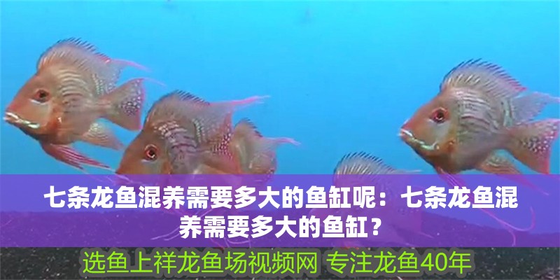 如何判斷魚苗是否因高溫受壓：如何判斷魚苗是否因高溫受壓，如何預防魚苗夏季缺氧