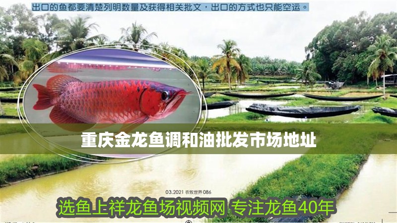 重慶金龍魚調和油批發市場地址