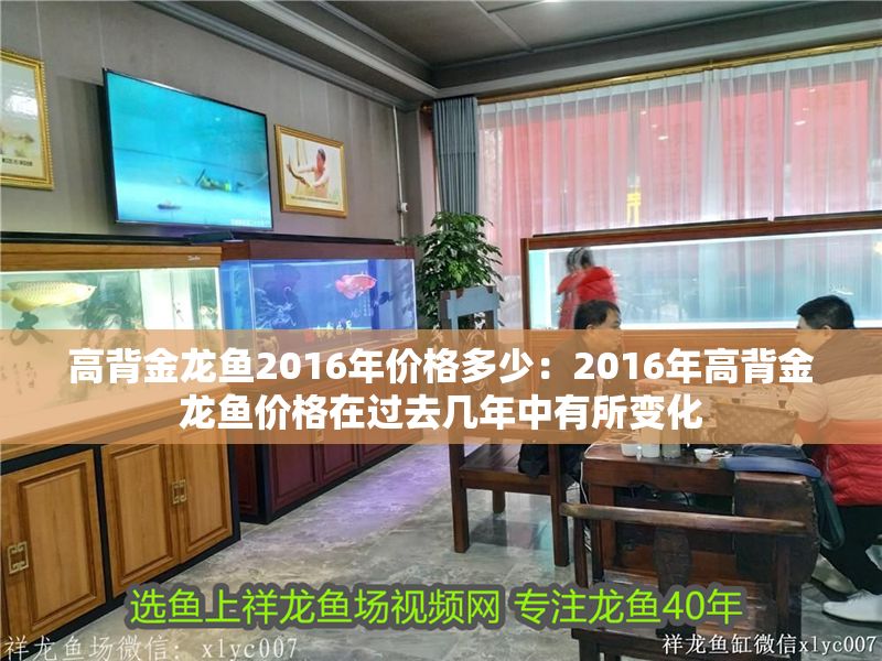 高背金龍魚2016年價格多少：2016年高背金龍魚價格在過去幾年中有所變化