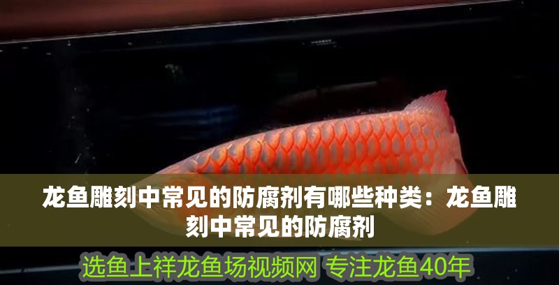 龍魚雕刻中常見的防腐劑有哪些種類：龍魚雕刻中常見的防腐劑