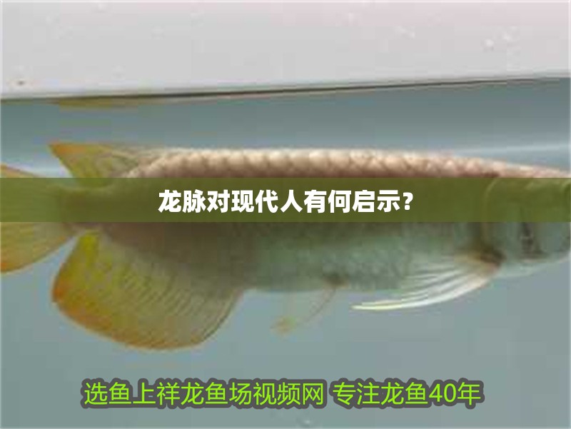 龍脈對現代人有何啟示？