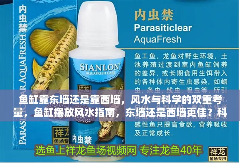 魚缸靠東墻還是靠西墻，風(fēng)水與科學(xué)的雙重考量，魚缸擺放風(fēng)水指南，東墻還是西墻更佳？科學(xué)與傳統(tǒng)的平衡之道