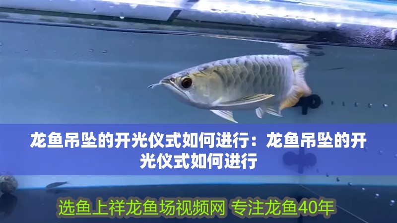 龍魚吊墜的開光儀式如何進行：龍魚吊墜的開光儀式如何進行
