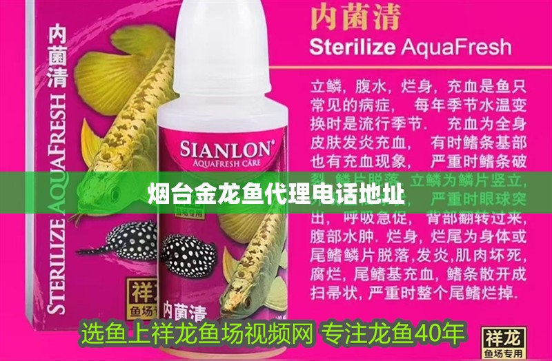 煙臺金龍魚代理電話地址