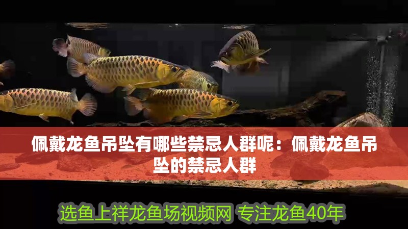 佩戴龍魚吊墜有哪些禁忌人群呢：佩戴龍魚吊墜的禁忌人群