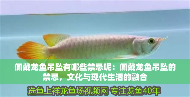 佩戴龍魚吊墜有哪些禁忌呢：佩戴龍魚吊墜的禁忌，文化與現代生活的融合