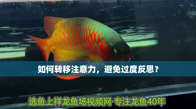 如何轉移注意力，避免過度反思？