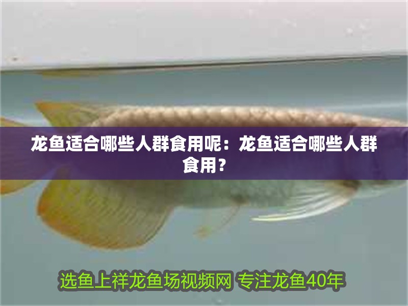 龍魚適合哪些人群食用呢：龍魚適合哪些人群食用？