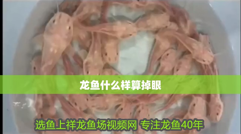 龍魚(yú)什么樣算掉眼