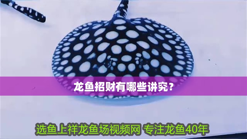 龍魚招財有哪些講究？
