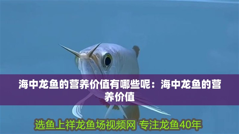 海中龍魚(yú)的營(yíng)養(yǎng)價(jià)值有哪些呢：海中龍魚(yú)的營(yíng)養(yǎng)價(jià)值