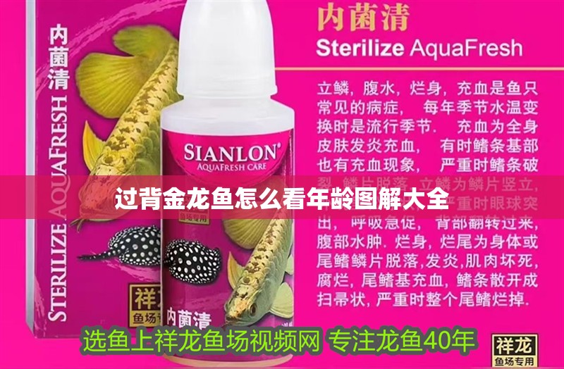 過背金龍魚怎么看年齡圖解大全