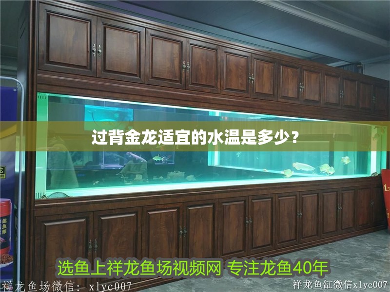 過(guò)背金龍適宜的水溫是多少？