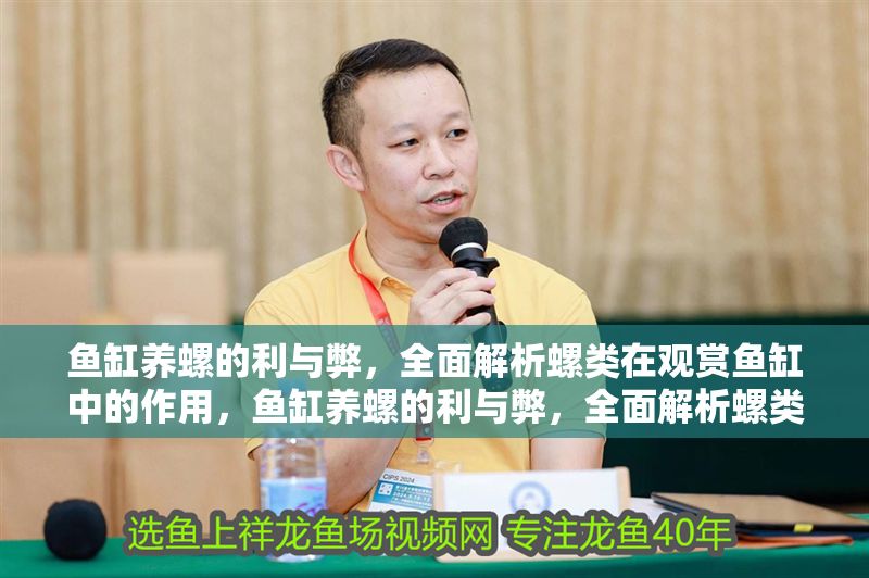 魚缸養(yǎng)螺的利與弊，全面解析螺類在觀賞魚缸中的作用，魚缸養(yǎng)螺的利與弊，全面解析螺類在觀賞魚缸中的作用與影響