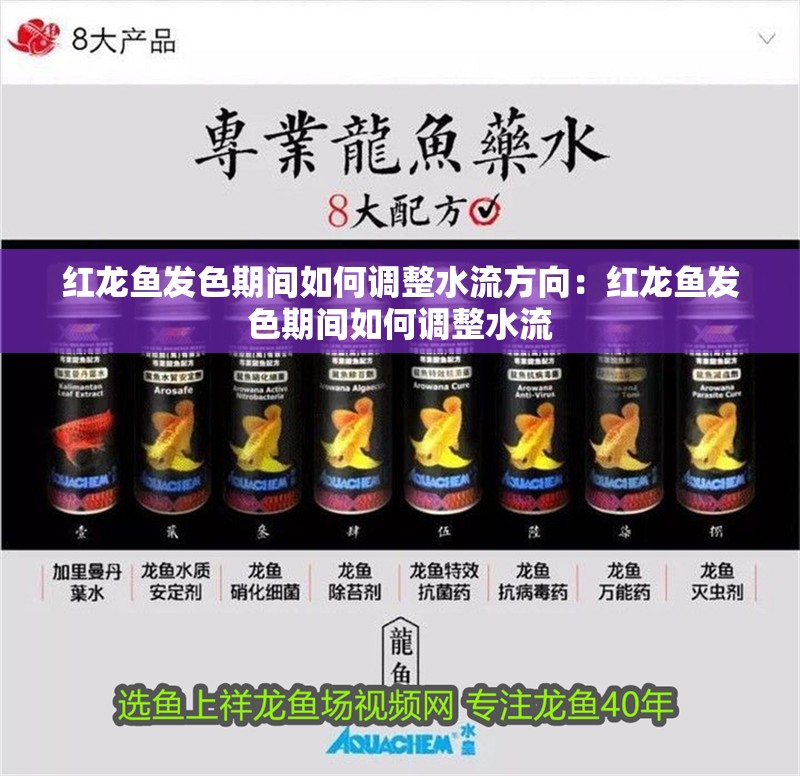 紅龍魚發色期間如何調整水流方向：紅龍魚發色期間如何調整水流