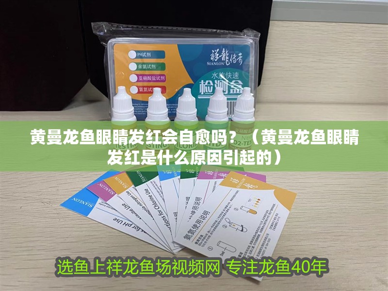 黃曼龍魚眼睛發紅會自愈嗎？（黃曼龍魚眼睛發紅是什么原因引起的）