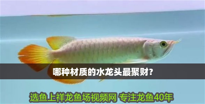 哪種材質的水龍頭最聚財？