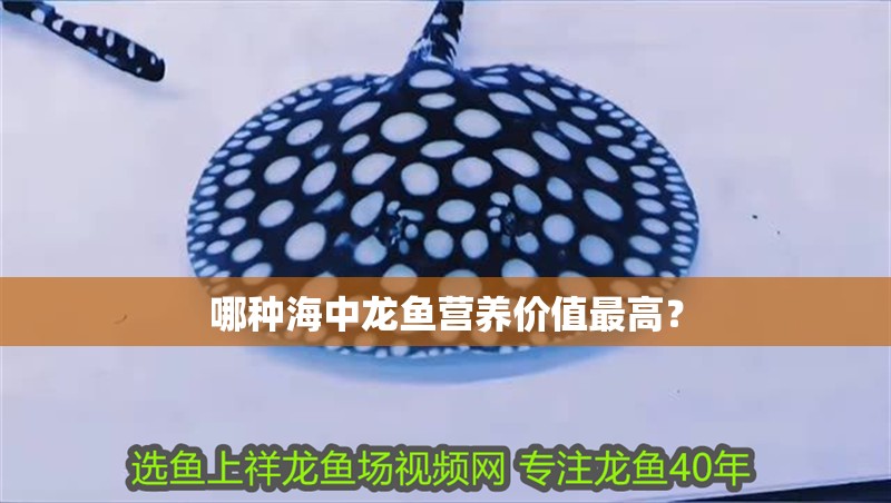 龍魚喂太飽了會有事嗎：龍魚喂食過量會對其健康產生負面影響 龍魚喂太飽了會有事嗎：龍魚喂食過量會對其健康產生負面影響 龍魚百科