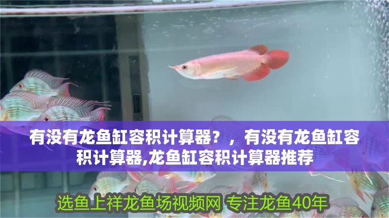 有沒有龍魚缸容積計算器？，有沒有龍魚缸容積計算器,龍魚缸容積計算器推薦