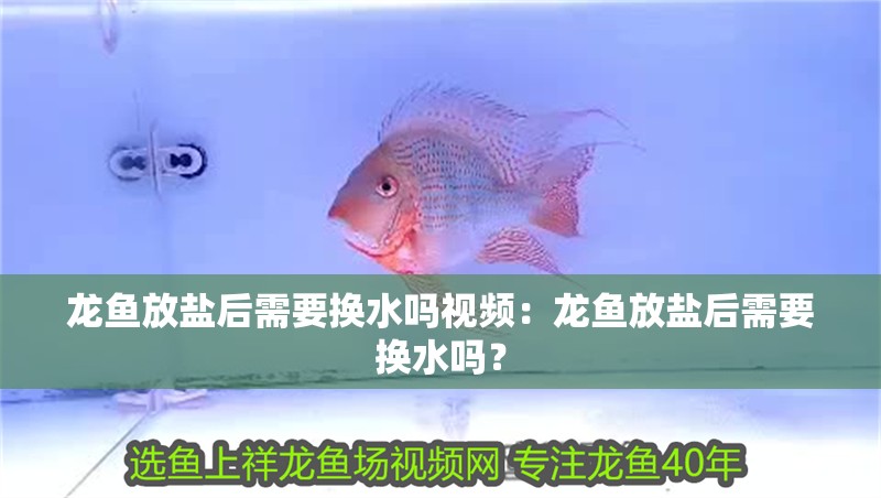 龍魚放鹽后需要換水嗎視頻：龍魚放鹽后需要換水嗎？