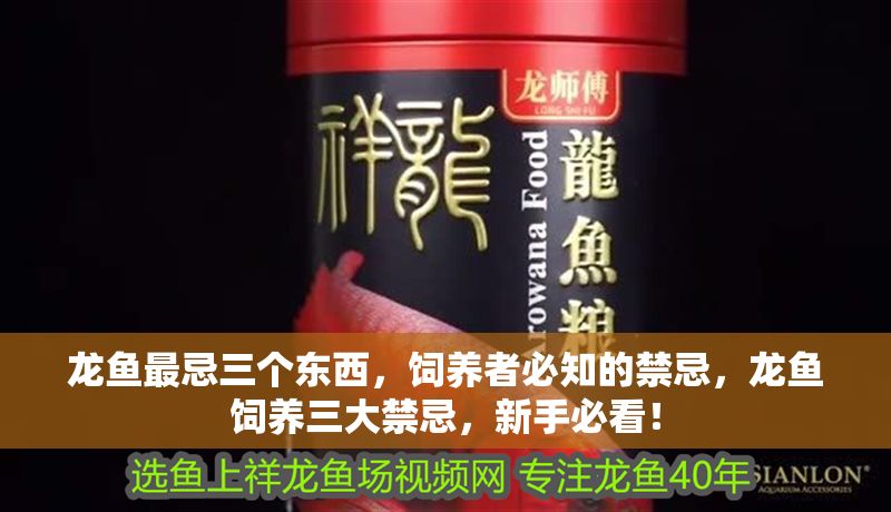 龍魚最忌三個東西，飼養者必知的禁忌，龍魚飼養三大禁忌，新手必看！
