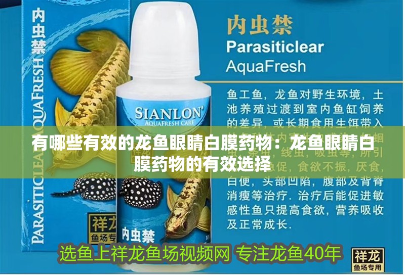 有哪些有效的龍魚眼睛白膜藥物：龍魚眼睛白膜藥物的有效選擇