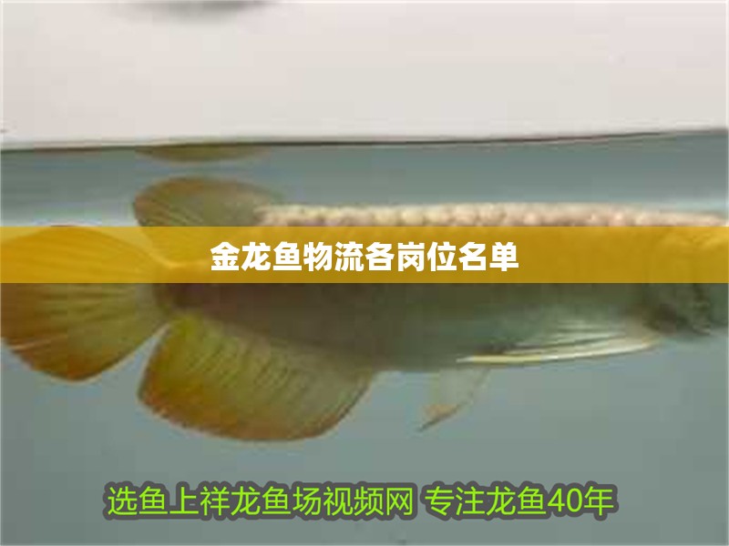 金龍魚物流各崗位名單