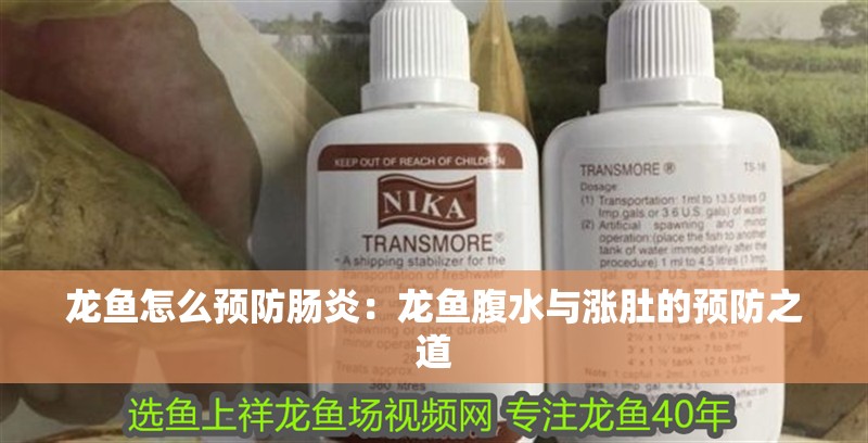 龍魚怎么預(yù)防腸炎：龍魚腹水與漲肚的預(yù)防之道