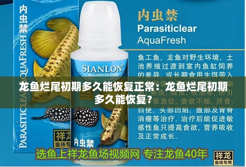 魚缸過濾器選購指南:自制魚缸過濾器魚缸上置過濾器對于養魚愛好者的必備知識 龍魚爛尾初期多久能恢復正常:龍魚爛尾初期多久能恢復? 水族問答 龍魚爛尾初期多久能恢復正常:龍魚爛尾初期多久能恢復? 龍魚爛尾初期多久能恢復正常:龍魚爛尾初期多久能恢復? 水族問答