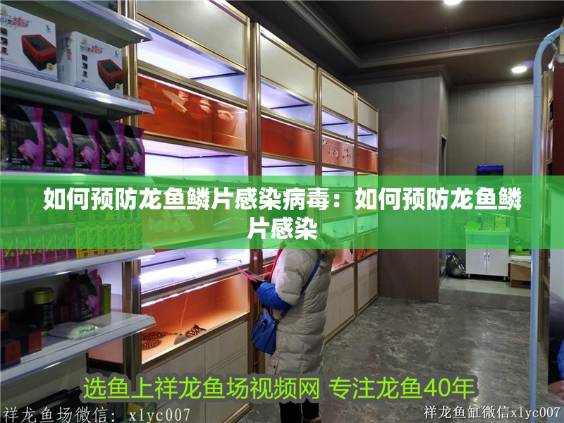 如何預(yù)防龍魚(yú)鱗片感染病毒：如何預(yù)防龍魚(yú)鱗片感染