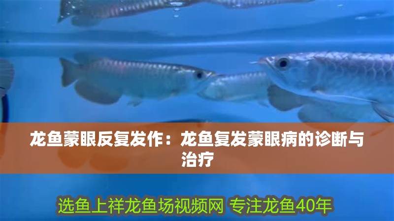 龍魚蒙眼反復發作：龍魚復發蒙眼病的診斷與治療