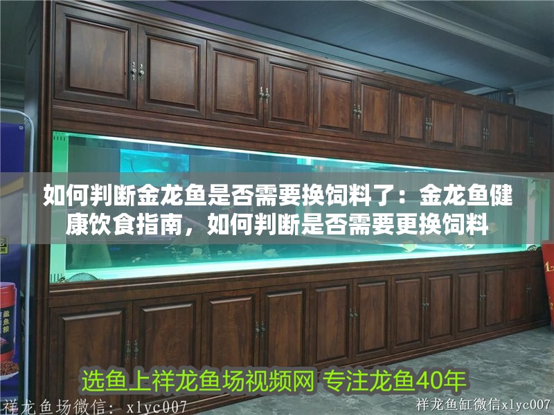 如何判斷金龍魚是否需要換飼料了：金龍魚健康飲食指南，如何判斷是否需要更換飼料