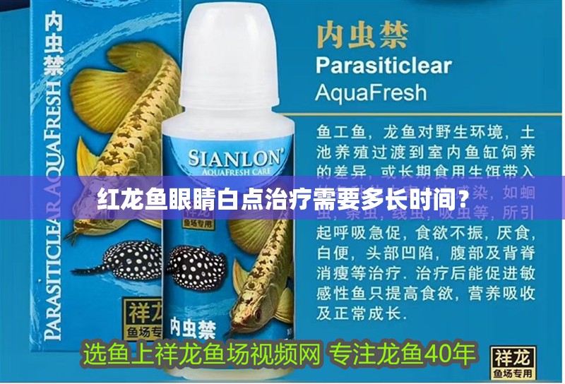 紅龍魚眼睛白點治療需要多長時間？