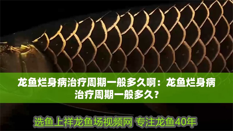 龍魚爛身病治療周期一般多久啊：龍魚爛身病治療周期一般多久？